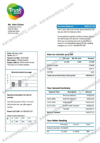New Zealand Trustpower utility bill template in Word and PDF format